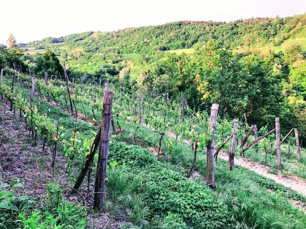 Bauernhof Borghetto La Radice *